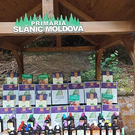 Montana Slanicアパートメント エクステリア 写真